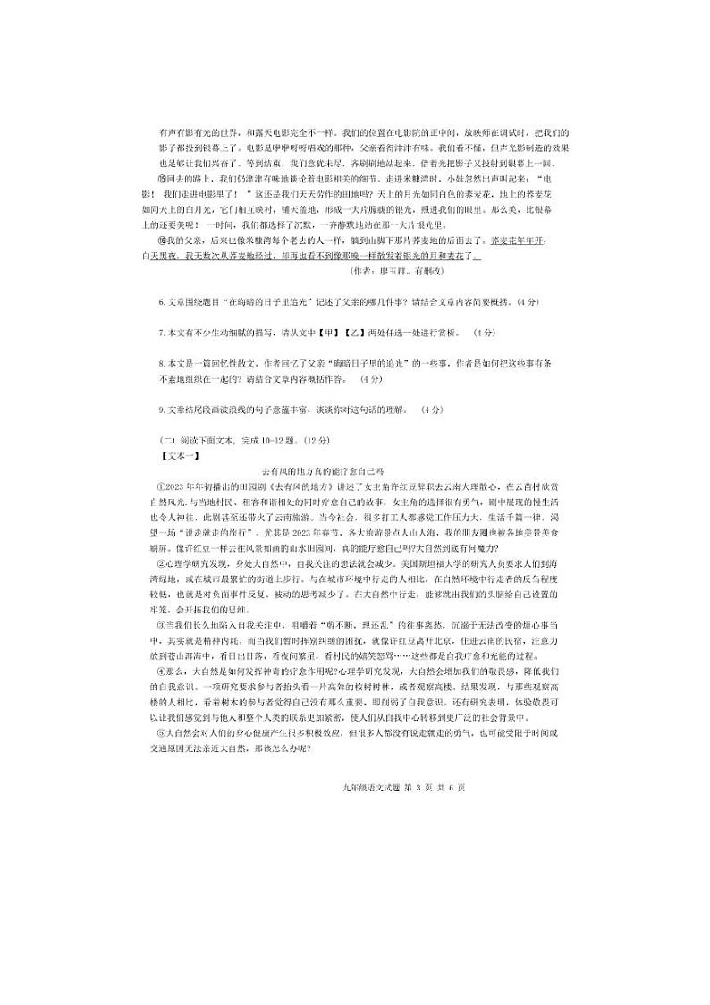 [语文]河南省开封市集英中学2024—2025学年九年级上学期10月月考试卷(有答案)第3页