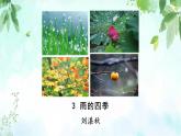 人教部编语文七年级第一单元3课《雨的四季》PPT