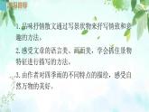 人教部编语文七年级第一单元3课《雨的四季》PPT