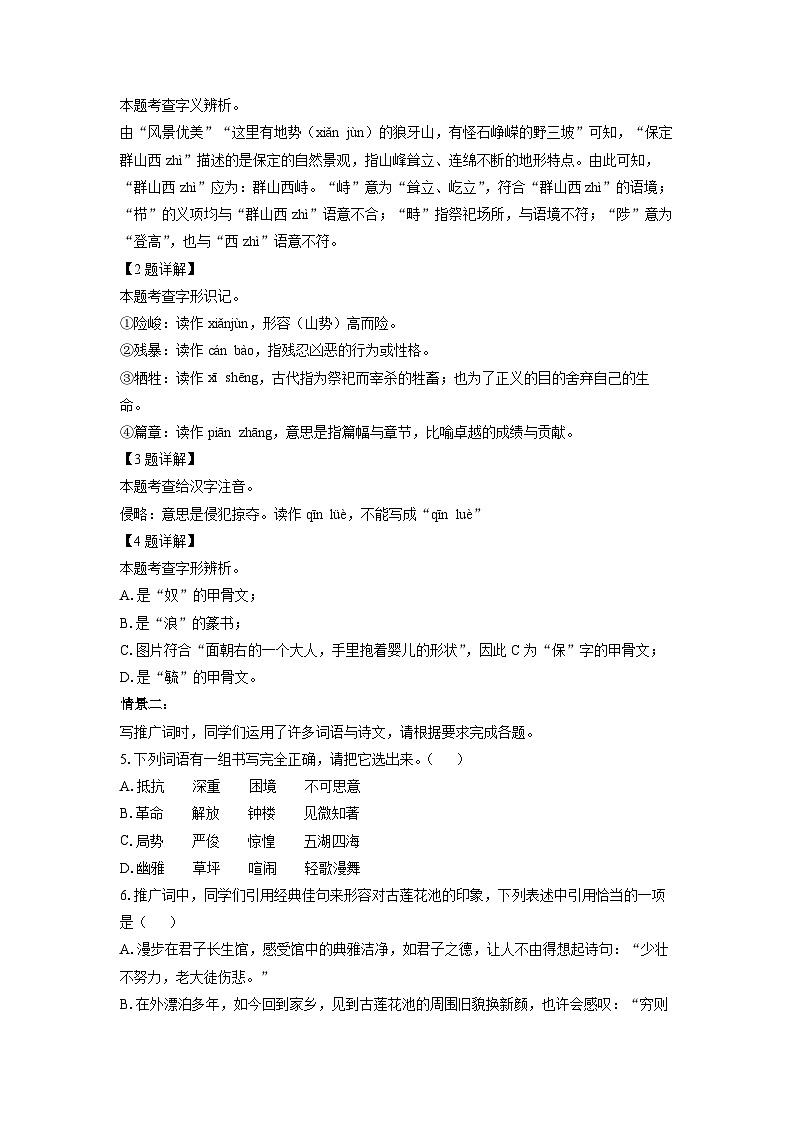 [语文]河北省保定市2024-2025学年七年级上学期开学考试试题(解析版)02