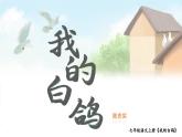部编版语文七年级上册（2024）第18课《我的白鸽》课件