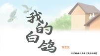 人教部编版（2024）七年级上册（2024）第五单元任务一 体会人物与动物的关系18 我的白鸽/陈忠实集体备课ppt课件