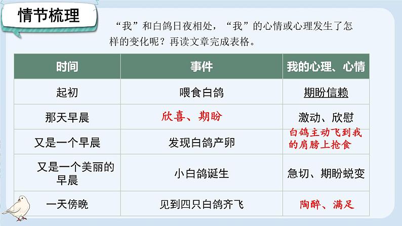 部编版语文七年级上册（2024）第18课《我的白鸽》课件第8页