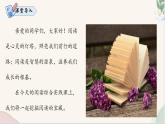 阅读综合实践（人教部编版2024）七年级语文上册 课件+教案+分层作业含解析版