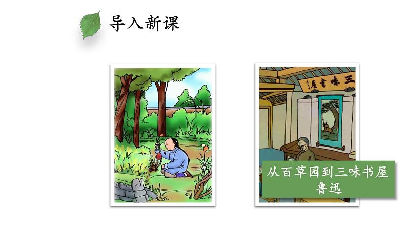 09《从百草园到三味书屋》 七年级语文上册同步课件（人教部编版2024）第4页