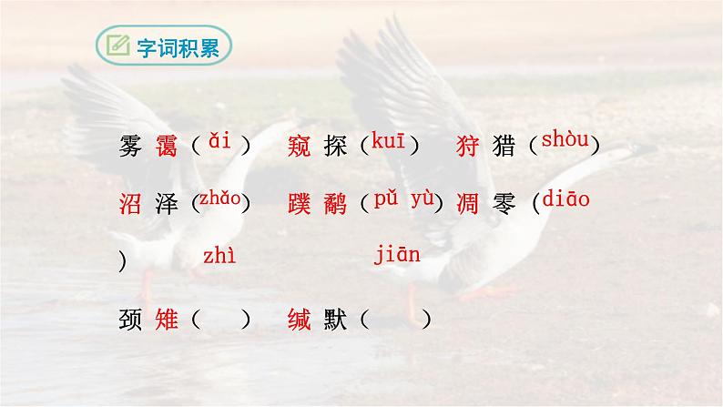 19《大雁归来》 七年级语文上册同步课件（人教部编版2024）第6页