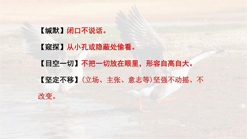 19《大雁归来》 七年级语文上册同步课件（人教部编版2024）第7页