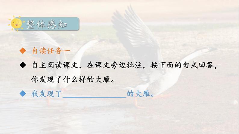 19《大雁归来》 七年级语文上册同步课件（人教部编版2024）第8页