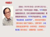 5《秋天的怀念》七年级语文上册同步课件（统编版2024）