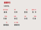 5《秋天的怀念》七年级语文上册同步课件（统编版2024）