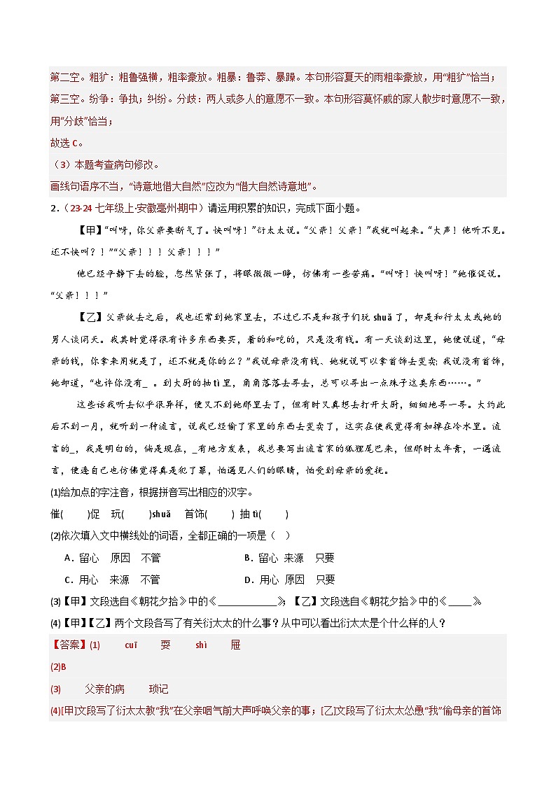 专题08 基础知识综合（多考点多题型）（解析版）第2页