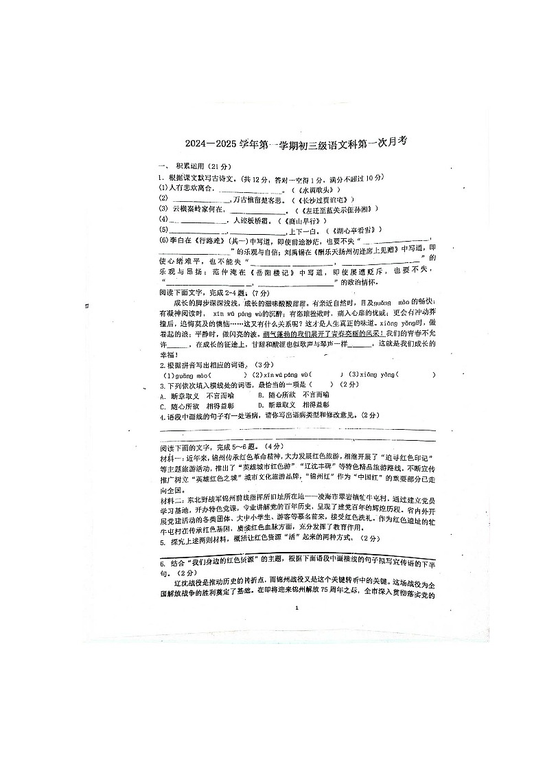 广东省阳江市阳春市第四中学2024-2025学年九年级上学期10月月考语文试题第1页