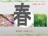 （人教版2024）七年级语文上册第1课《春》课件（含视频）