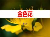 统编版（2024）七年级语文上册7散文诗二首-金色花课件