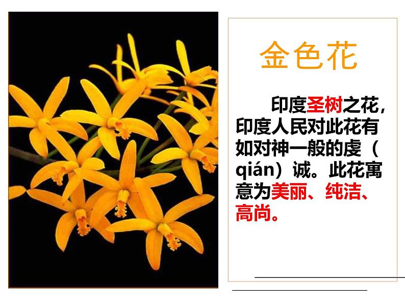 统编版（2024）七年级语文上册7散文诗二首-金色花课件02