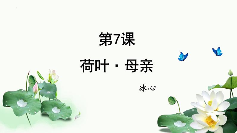 统编版（2024）七年级语文上册7散文诗二首-荷叶·母亲课件第1页