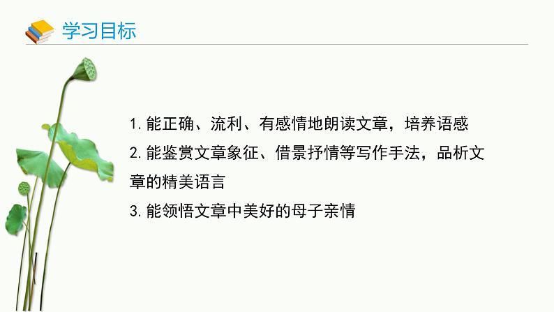 统编版（2024）七年级语文上册7散文诗二首-荷叶·母亲课件第2页