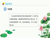 统编版（2024）七年级语文上册7散文诗二首-荷叶·母亲课件