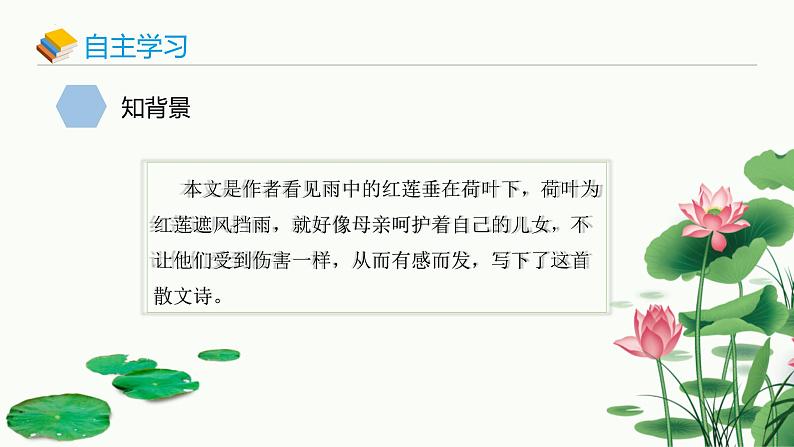 统编版（2024）七年级语文上册7散文诗二首-荷叶·母亲课件第4页