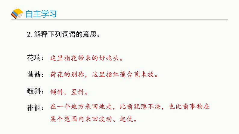 统编版（2024）七年级语文上册7散文诗二首-荷叶·母亲课件第6页