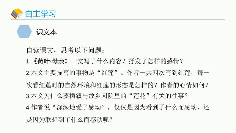 统编版（2024）七年级语文上册7散文诗二首-荷叶·母亲课件第7页