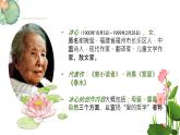 统编版（2024）七年级语文上册7散文诗二首-荷叶·母亲课件