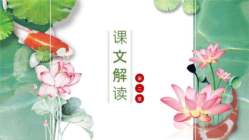 统编版（2024）七年级语文上册7散文诗二首-荷叶·母亲课件第6页