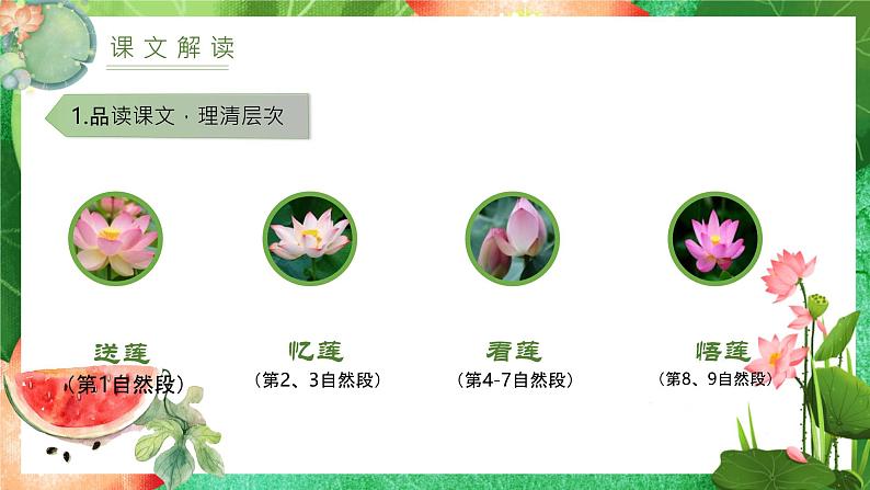 统编版（2024）七年级语文上册7散文诗二首-荷叶·母亲课件第7页