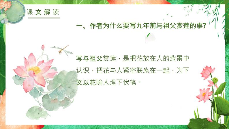 统编版（2024）七年级语文上册7散文诗二首-荷叶·母亲课件第8页