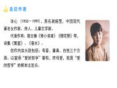 统编版（2024）七年级语文上册7散文诗二首-荷叶·母亲课件4