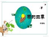 统编版（2024）七年级语文上册3雨的四季课件