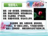 统编版（2024）七年级语文上册3雨的四季课件