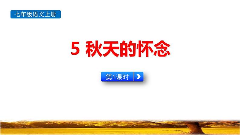 统编版（2024）七年级语文上册5秋天的怀念课件01