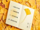 統(tǒng)編版（2024）七年級語文上冊5秋天的懷念課件