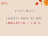 統(tǒng)編版（2024）七年級語文上冊5秋天的懷念課件