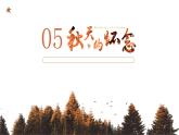 統(tǒng)編版（2024）七年級語文上冊5秋天的懷念課件
