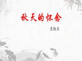 統(tǒng)編版（2024）七年級語文上冊5秋天的懷念課件