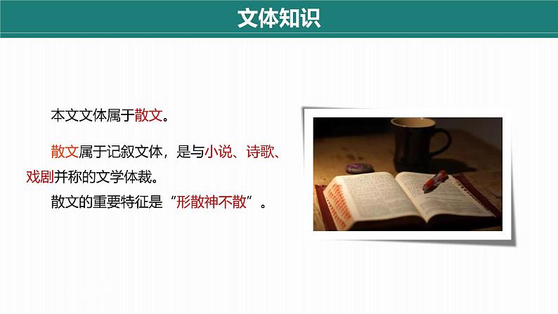统编版（2024）七年级语文上册9从百草园到三味书屋第1课时课件第8页