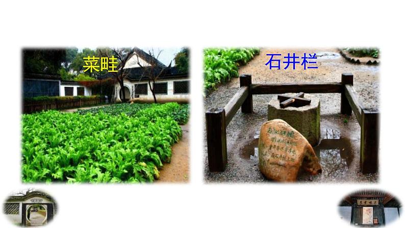 统编版（2024）七年级语文上册9从百草园到三味书屋第1课时课件第2页