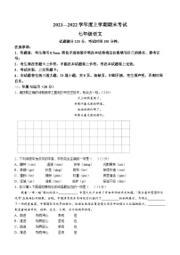 辽宁省沈阳市浑南区2021-2022学年七年级上学期期末语文试题