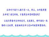统编版（2024）七年级语文上册11再塑生命的人第一课时课件