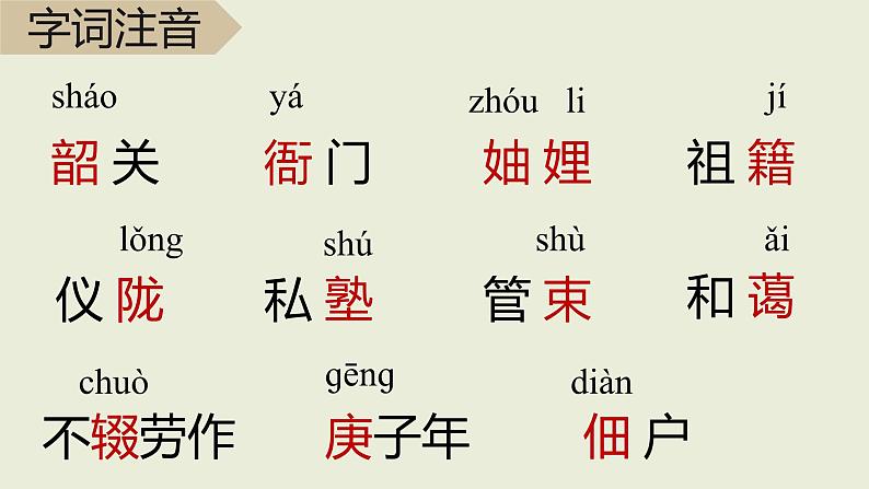 统编版（2024）七年级语文上册14回忆我的母亲课件（同课异构三）07