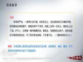 统编版（2024）七年级语文上册写作 思路要清晰课件（同课异构二）