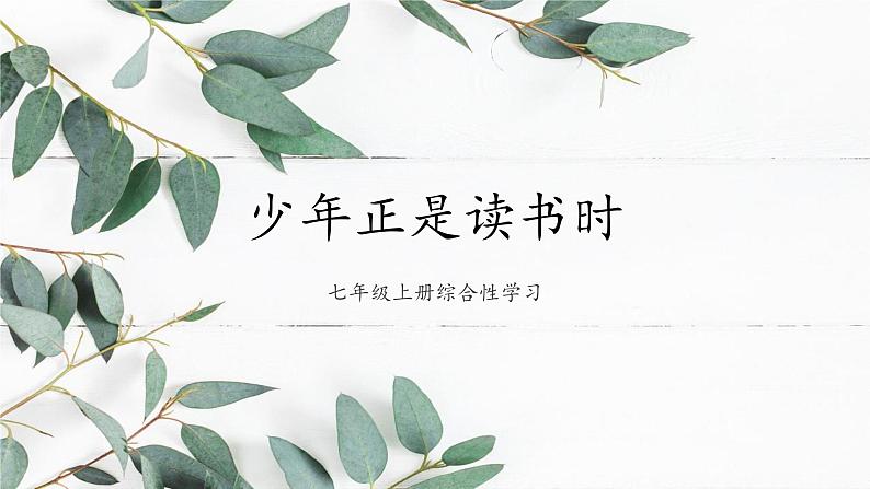 统编版（2024）七年级语文上册专题学习活动 少年正是读书时课件（同课异构四）01