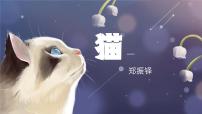 人教部编版（2024）七年级上册（2024）17 猫/郑振铎作业ppt课件
