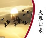 人教版部編版2024七年級(jí)上冊(cè)語文第19課 《大雁歸來》：聆聽雁聲雁語 課件+分層作業(yè)含解析版