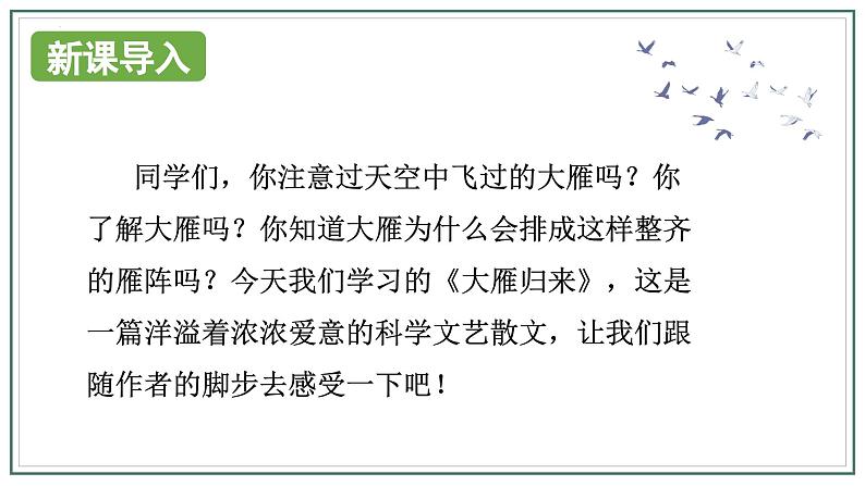 人教版部编版2024七年级上册语文第19课 《大雁归来》：聆听雁声雁语 课件+分层作业含解析版02