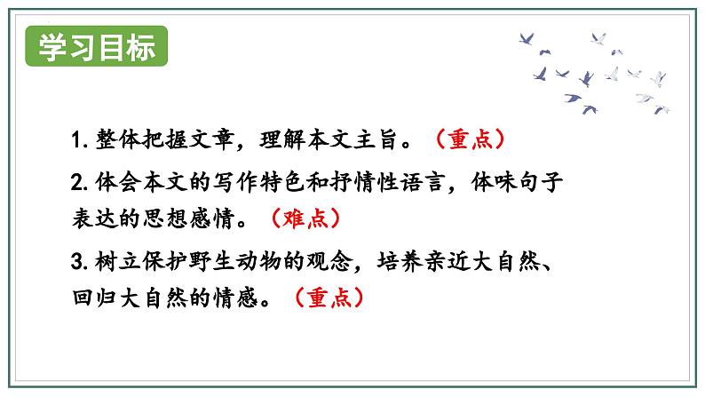 人教版部编版2024七年级上册语文第19课 《大雁归来》：聆听雁声雁语 课件+分层作业含解析版03