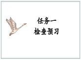 人教版部編版2024七年級(jí)上冊(cè)語文第19課 《大雁歸來》：聆聽雁聲雁語 課件+分層作業(yè)含解析版