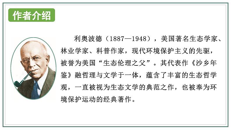 人教版部编版2024七年级上册语文第19课 《大雁归来》：聆听雁声雁语 课件+分层作业含解析版07